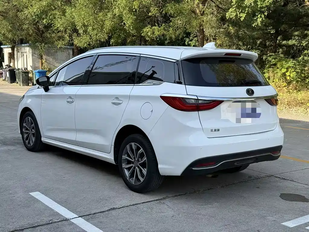 BYD MAX — фото 10