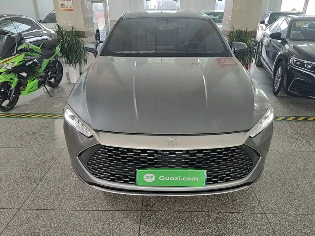 BYD Qin PLUS — фото 3
