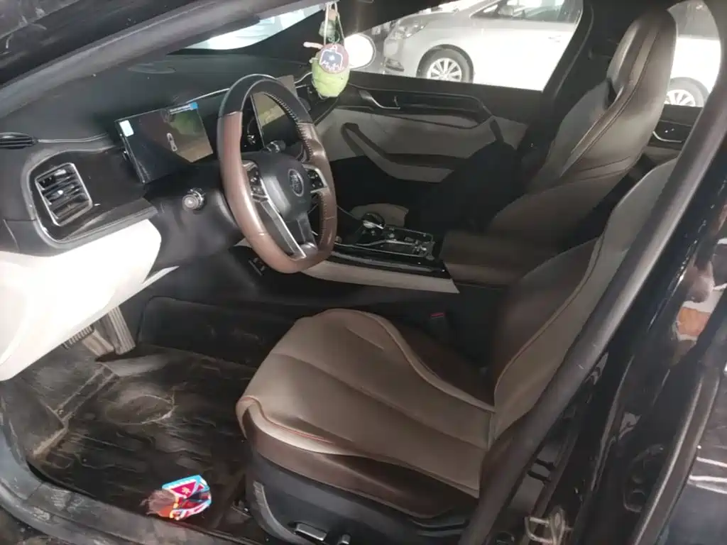 BYD Qin PLUS — фото 15