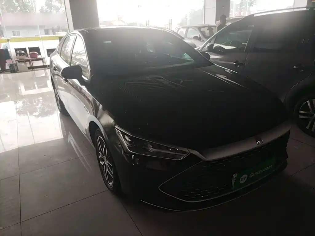 BYD Qin PLUS — фото 4