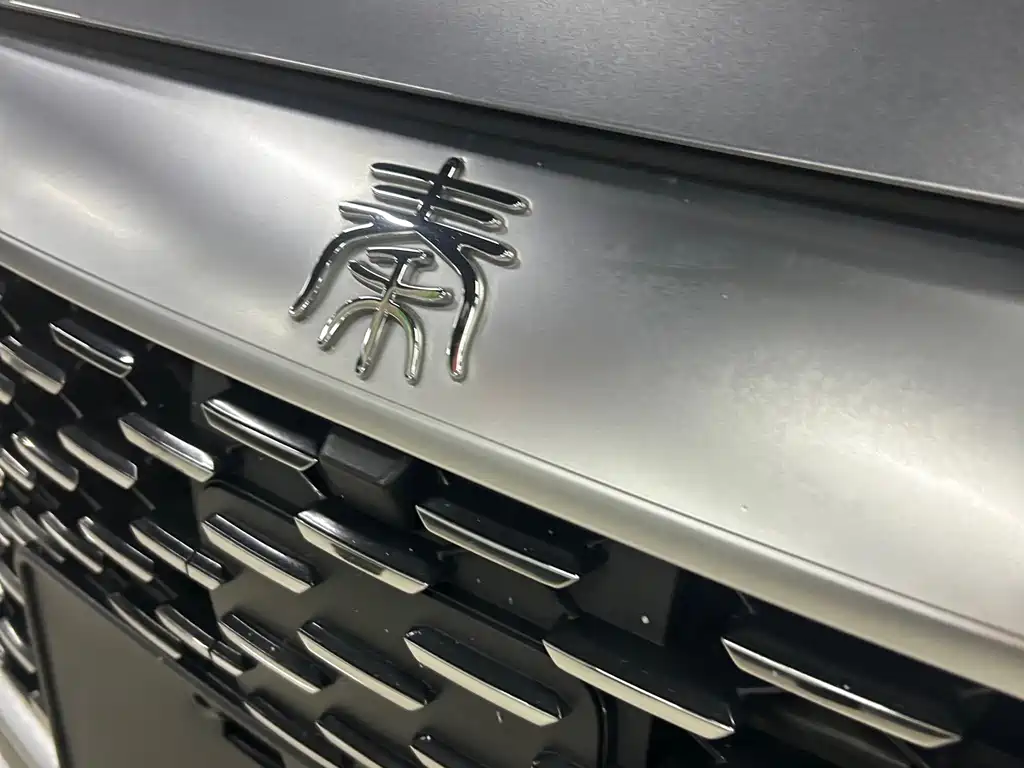 BYD Qin PLUS — фото 14