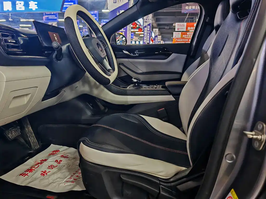 BYD Qin PLUS — фото 4