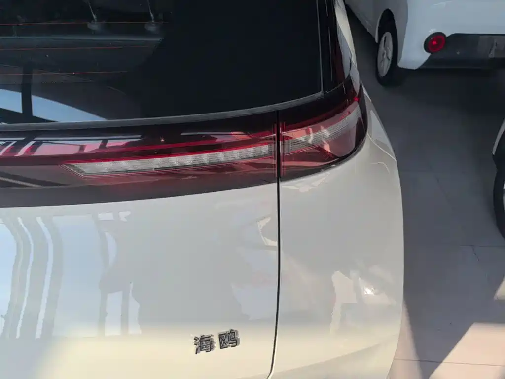 BYD Seagull — фото 8