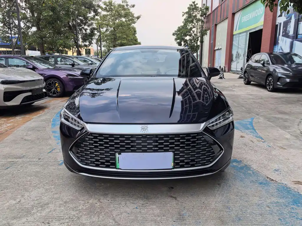BYD Qin PLUS — фото 3