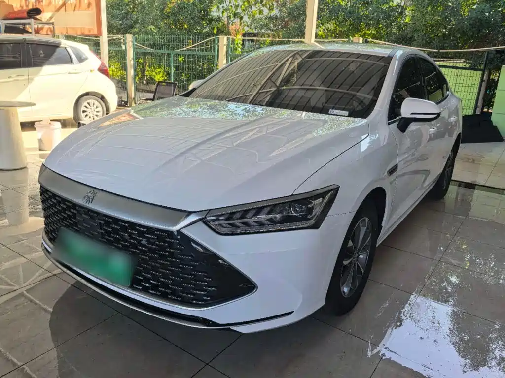 BYD Qin PLUS — фото 2