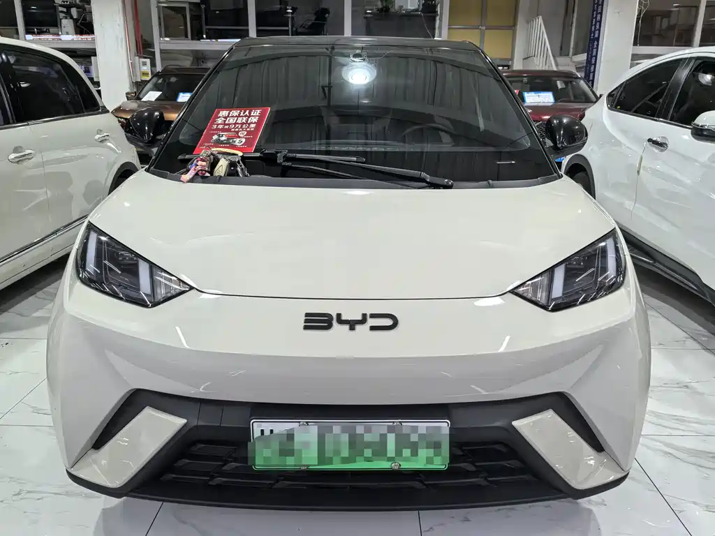 BYD Seagull — фото 2