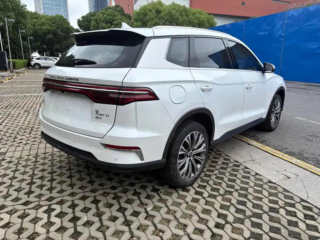 BYD Pro New Energy — фото 10