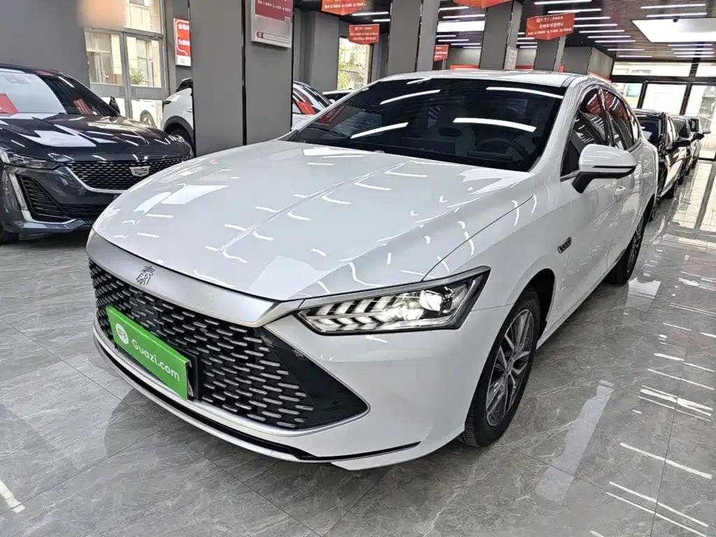 BYD Qin PLUS — фото 2