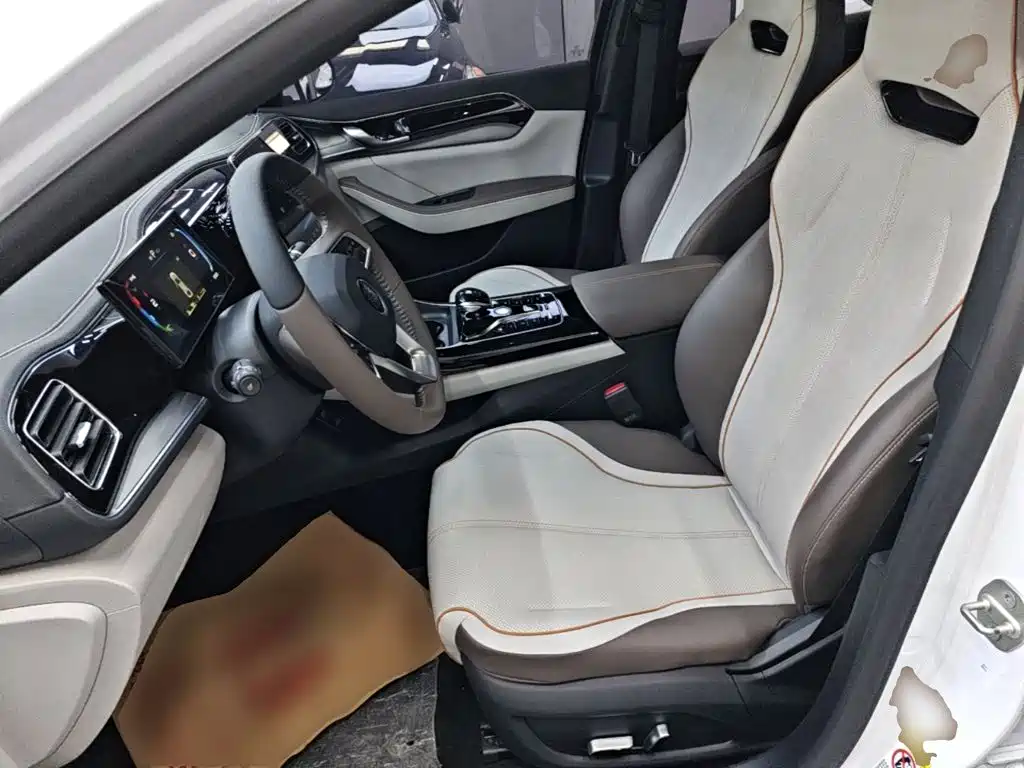 BYD Qin PLUS — фото 15