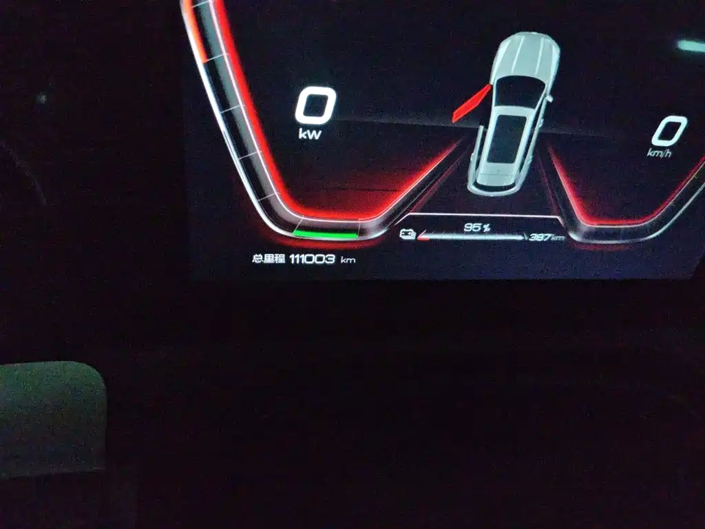 BYD Pro New Energy — фото 13