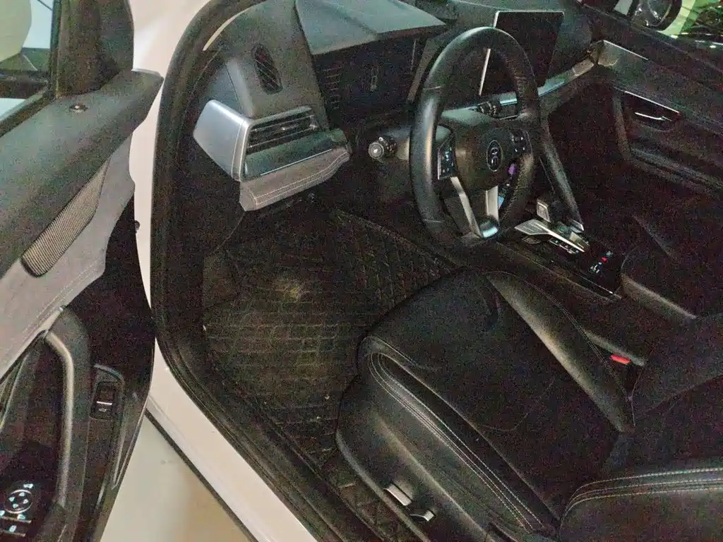 BYD Pro New Energy — фото 17