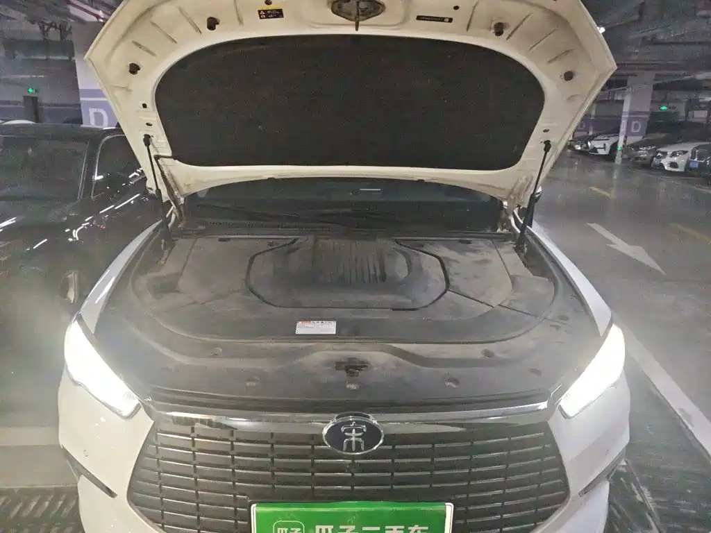 BYD Pro New Energy — фото 21