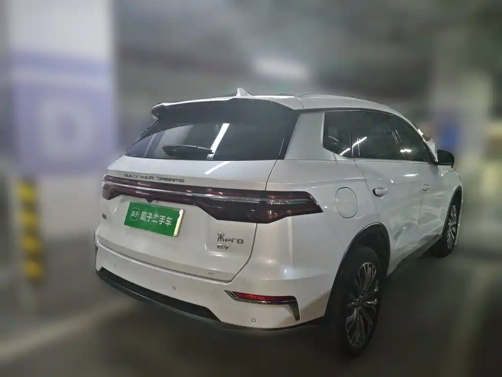 BYD Pro New Energy — фото 6