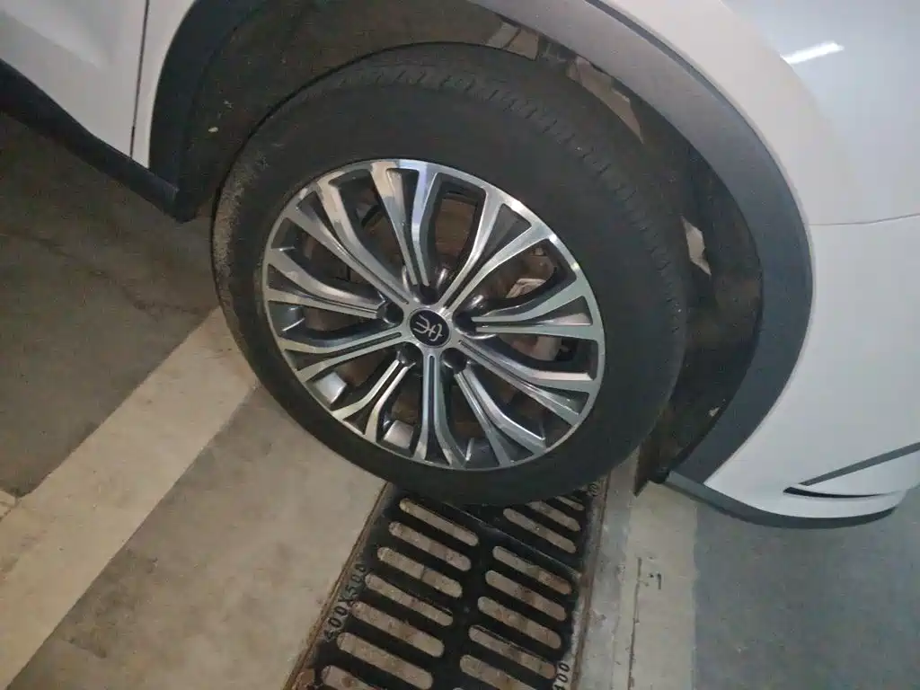 BYD Pro New Energy — фото 8
