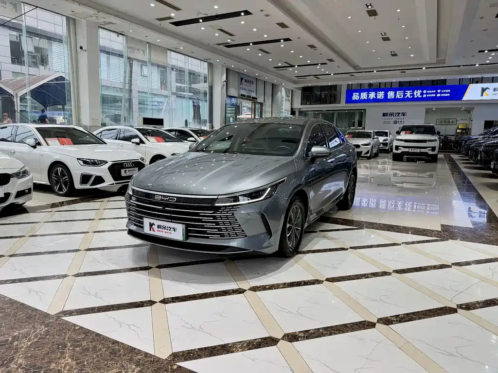 BYD Destroyer 05 — фото 2