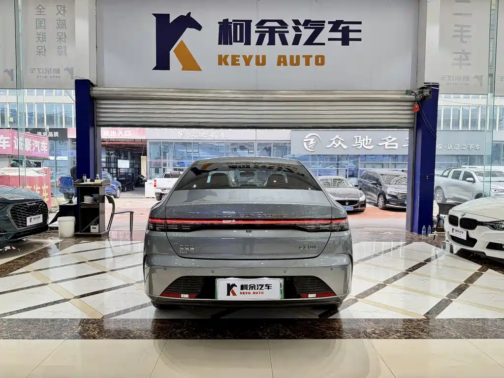 BYD Destroyer 05 — фото 11