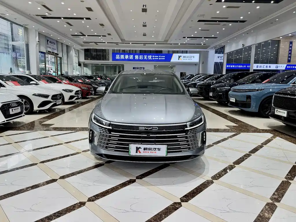 BYD Destroyer 05 — фото 3