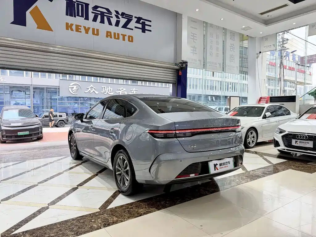 BYD Destroyer 05 — фото 10