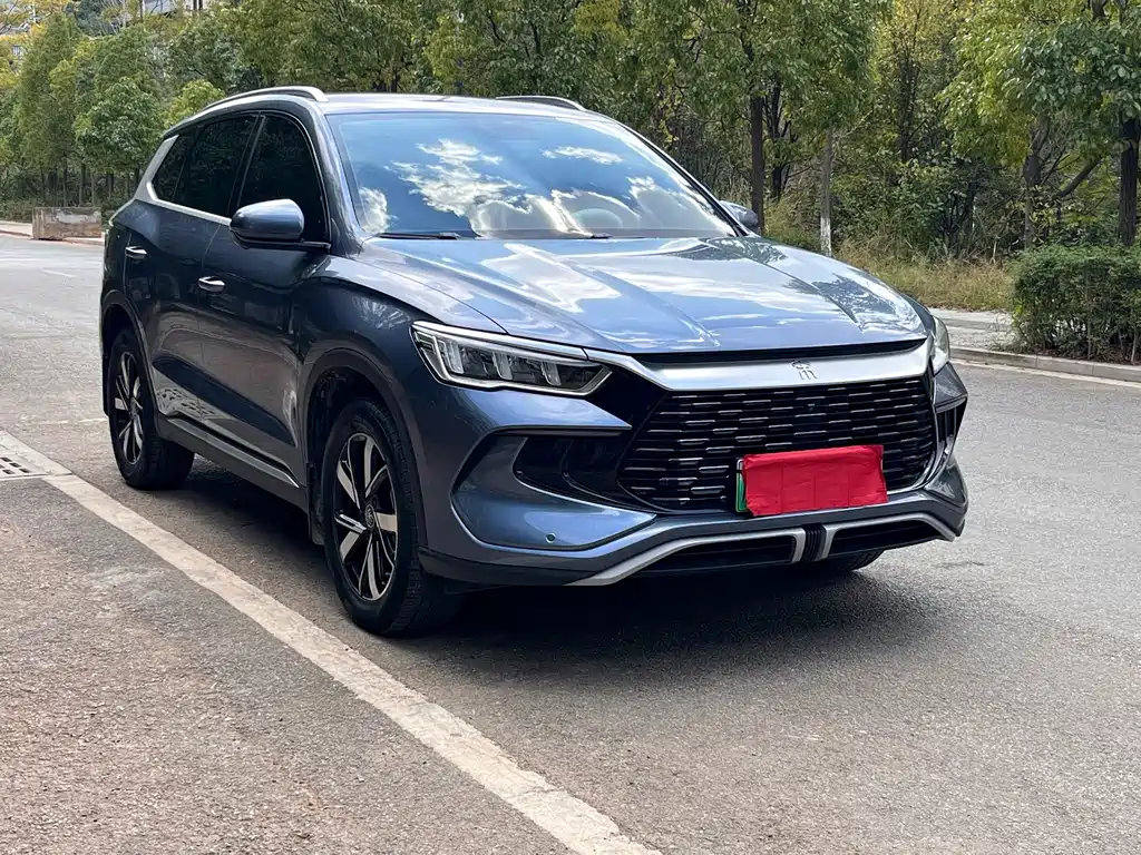 BYD Pro New Energy — фото 3