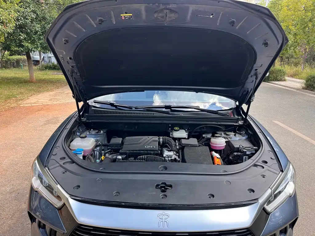 BYD Pro New Energy — фото 24