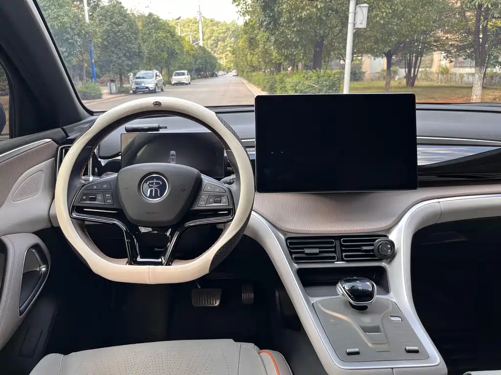 BYD Pro New Energy — фото 26