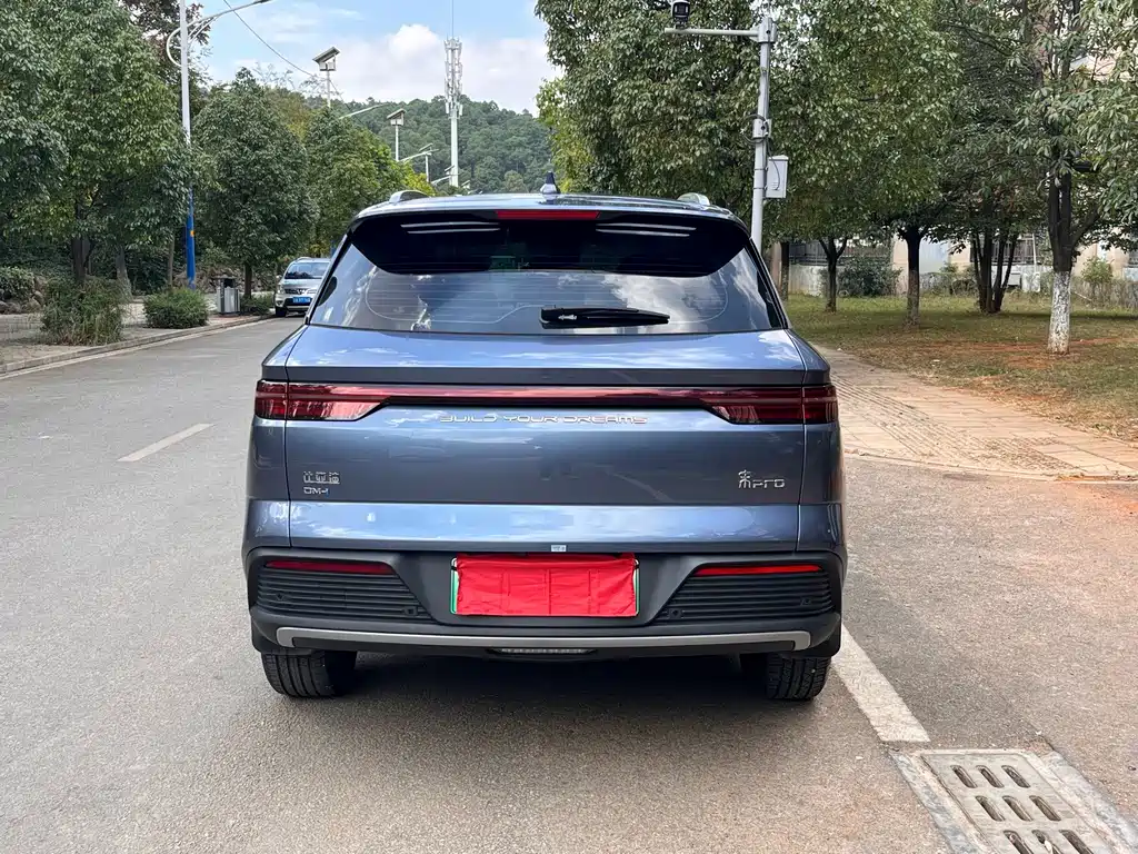 BYD Pro New Energy — фото 5