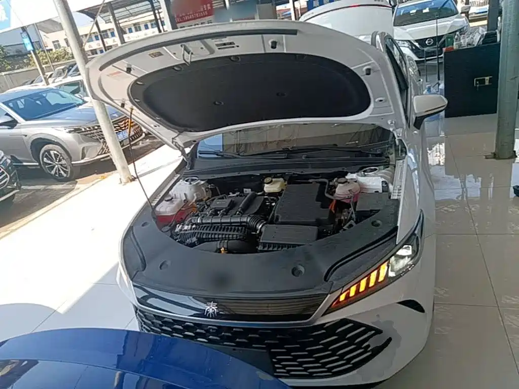 BYD Qin PLUS — фото 20