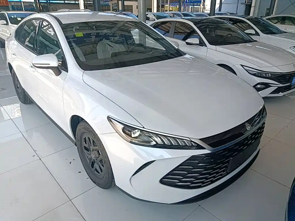 BYD Qin PLUS — фото 4