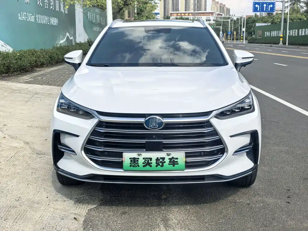 BYD Tang New Energy — фото 2