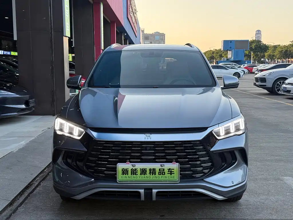 BYD Pro New Energy — фото 2