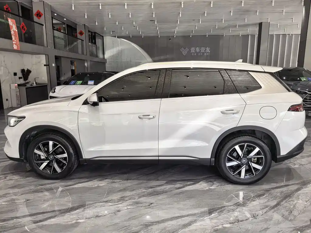 BYD Pro New Energy — фото 4