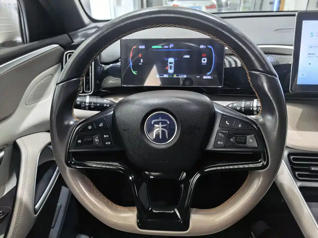 BYD Pro New Energy — фото 9
