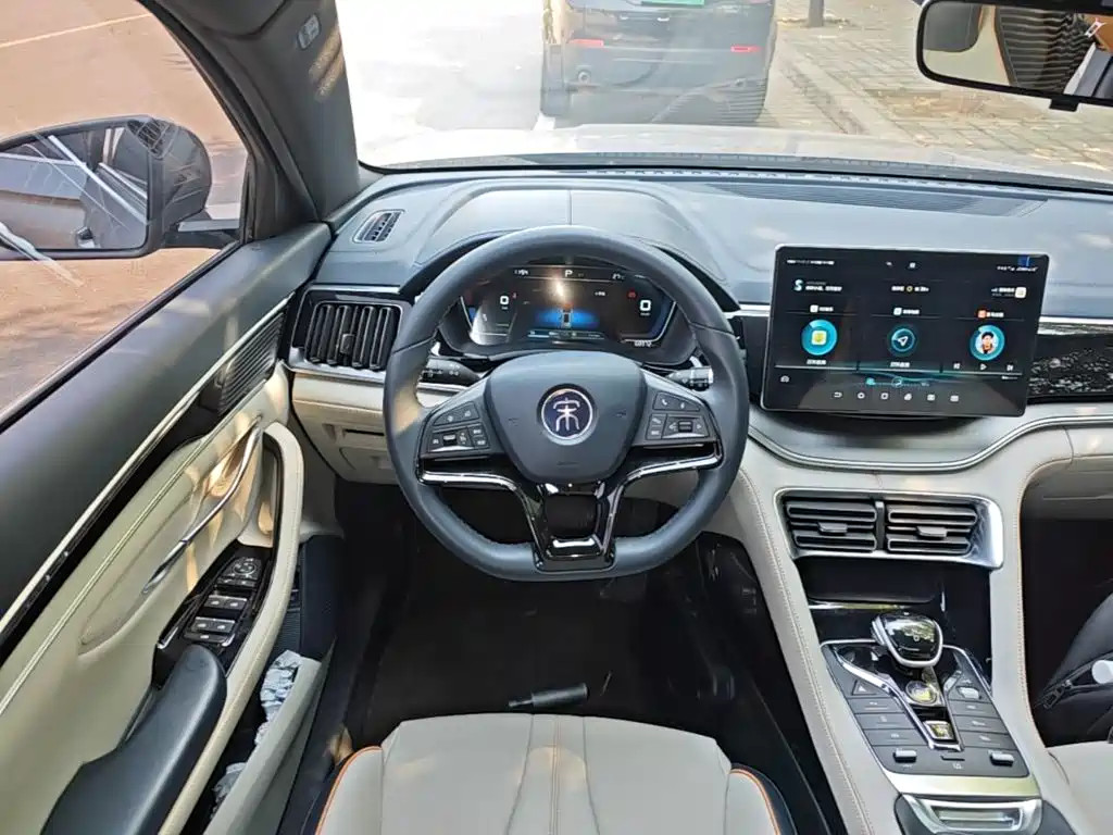 BYD PLUS New Energy — фото 11