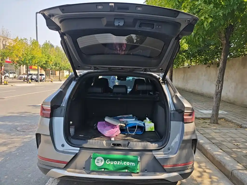 BYD PLUS New Energy — фото 19