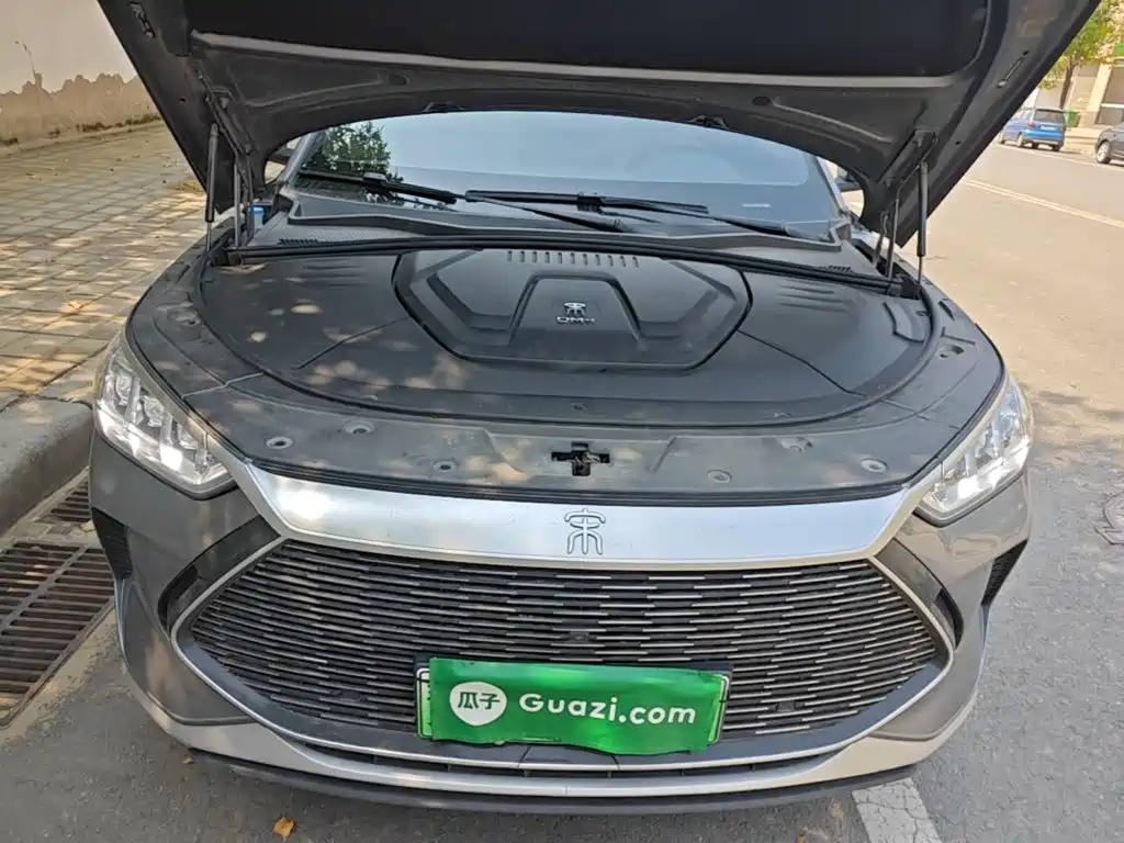 BYD PLUS New Energy — фото 20