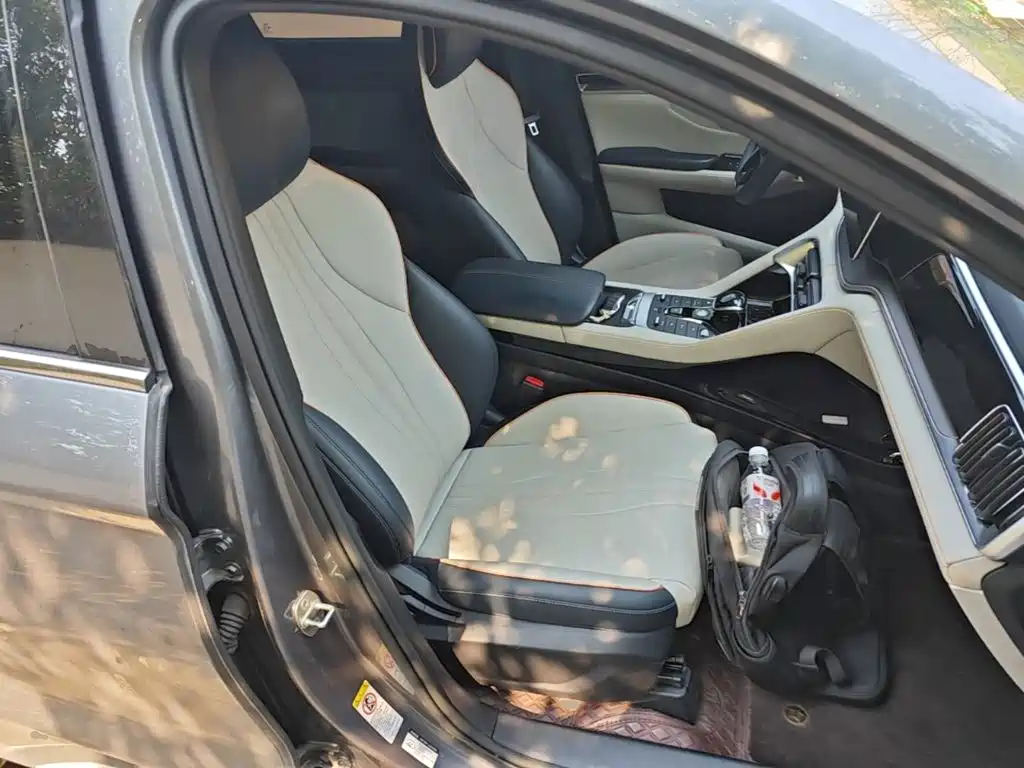 BYD PLUS New Energy — фото 25
