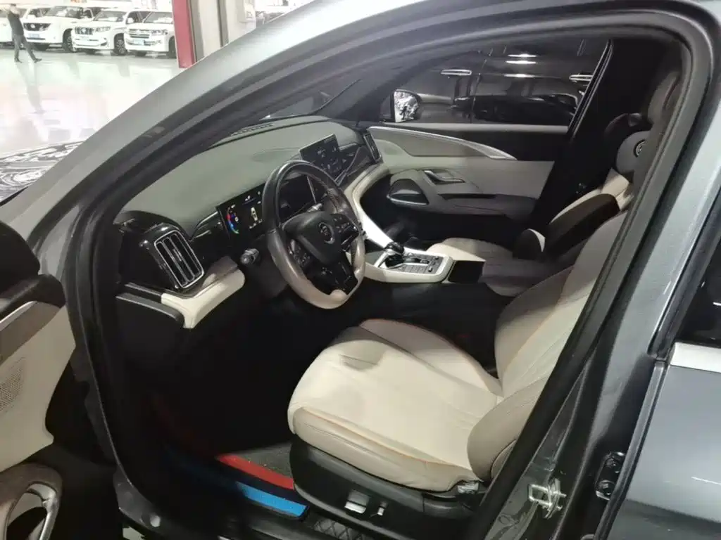 BYD Pro New Energy — фото 15