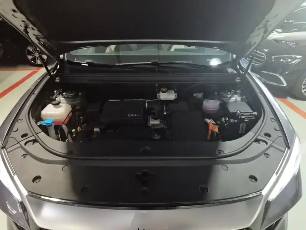 BYD Pro New Energy — фото 20