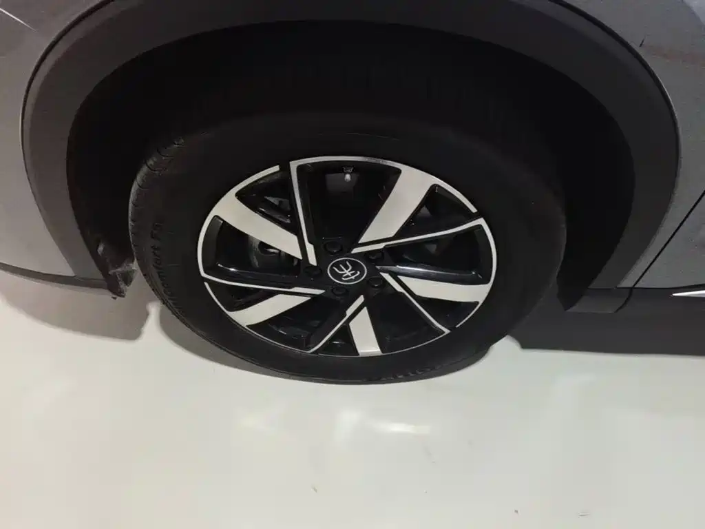 BYD Pro New Energy — фото 23