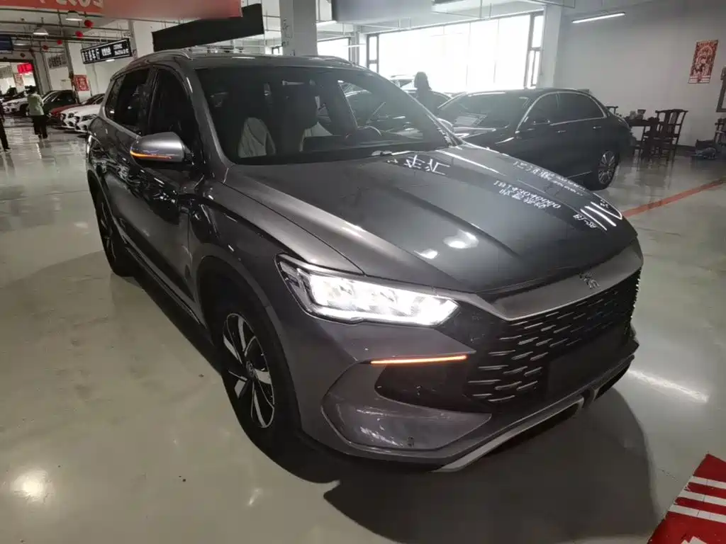 BYD Pro New Energy — фото 4