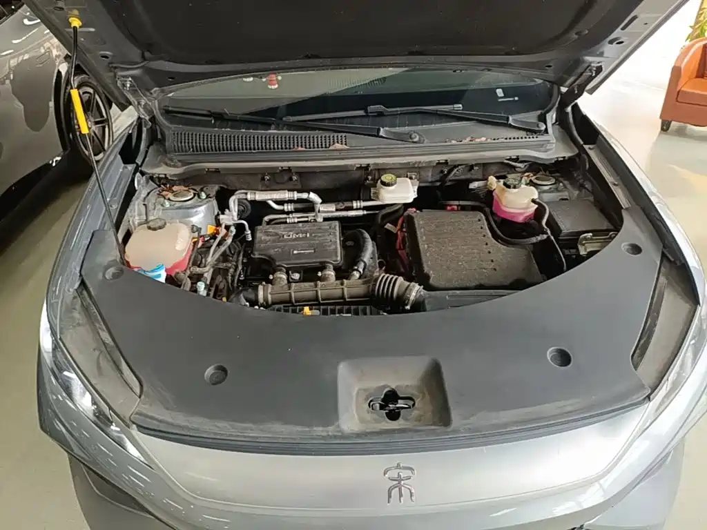 BYD Pro New Energy — фото 20