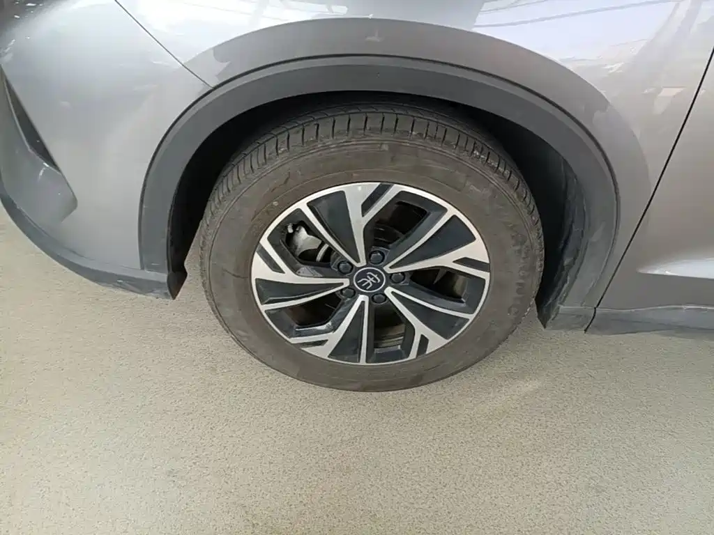 BYD Pro New Energy — фото 23
