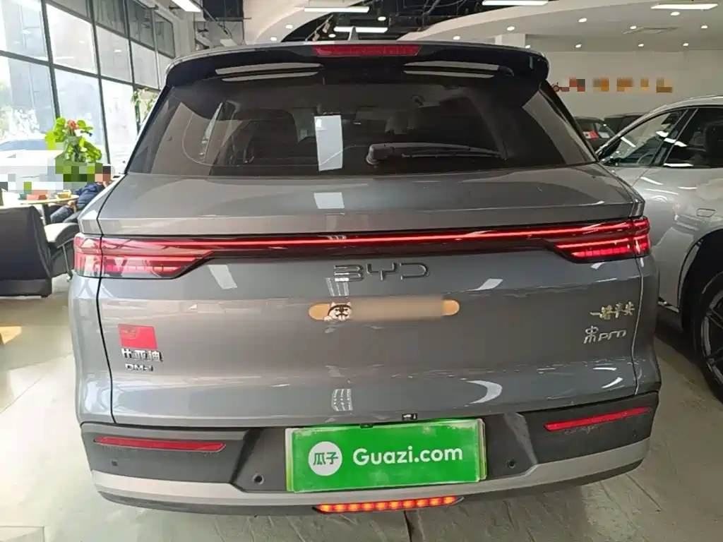 BYD Pro New Energy — фото 6