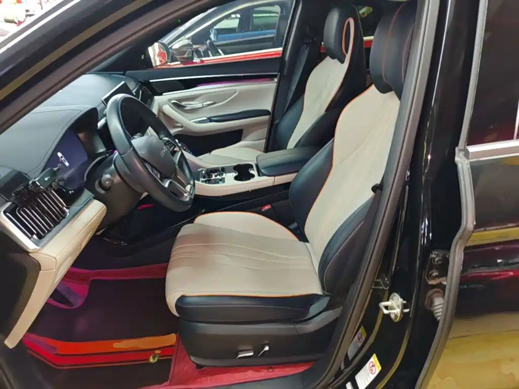 BYD PLUS New Energy — фото 15