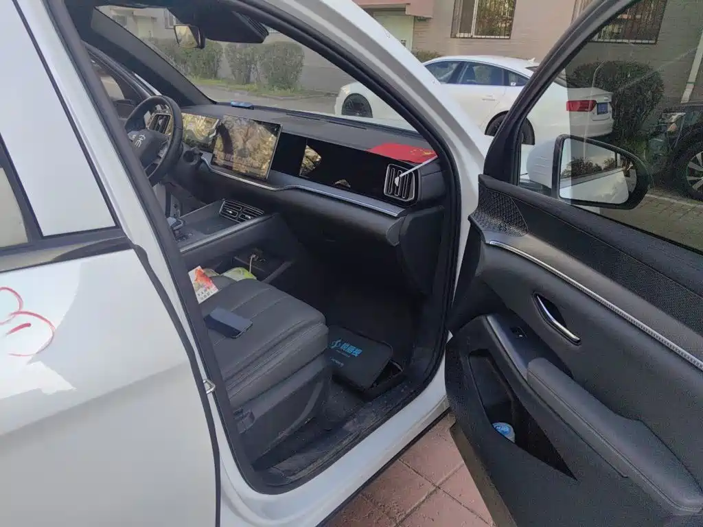 BYD Pro New Energy — фото 19