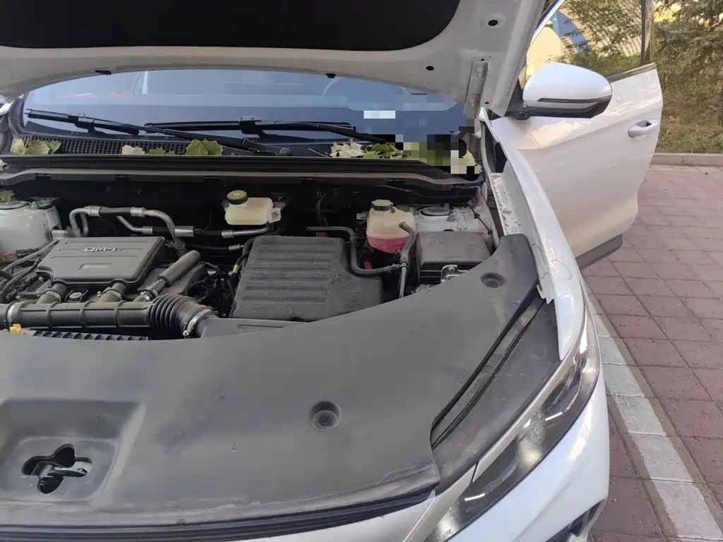 BYD Pro New Energy — фото 22
