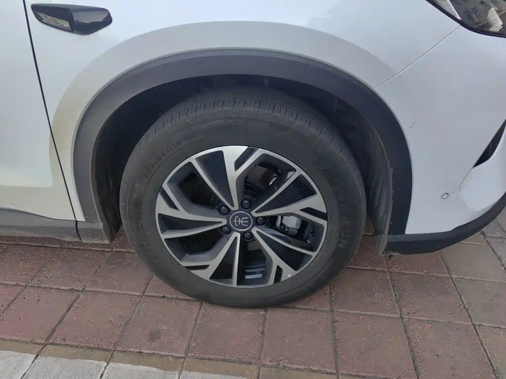 BYD Pro New Energy — фото 25