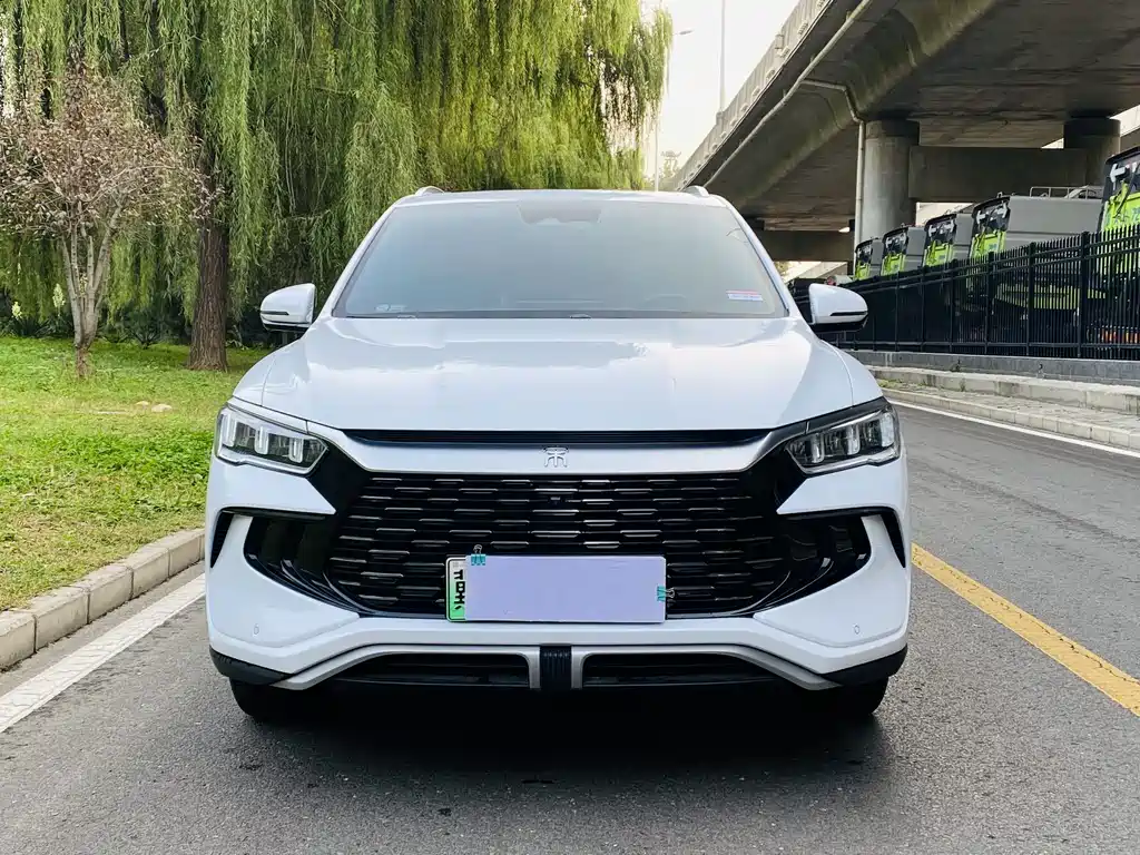 BYD Pro New Energy — фото 3