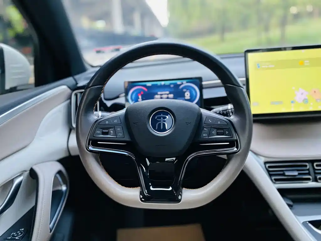 BYD Pro New Energy — фото 4