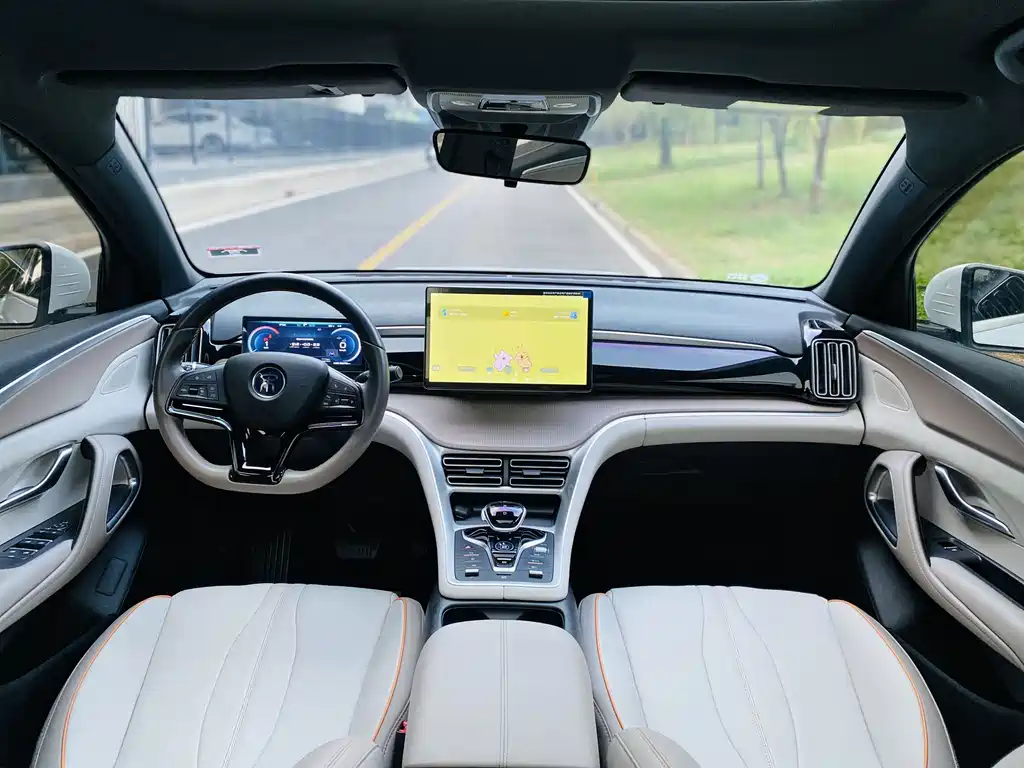 BYD Pro New Energy — фото 5